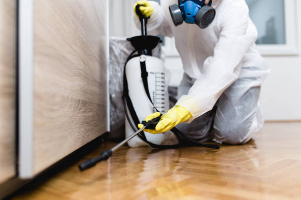 Best Pest Inspection Near Me  in Asbury, IA