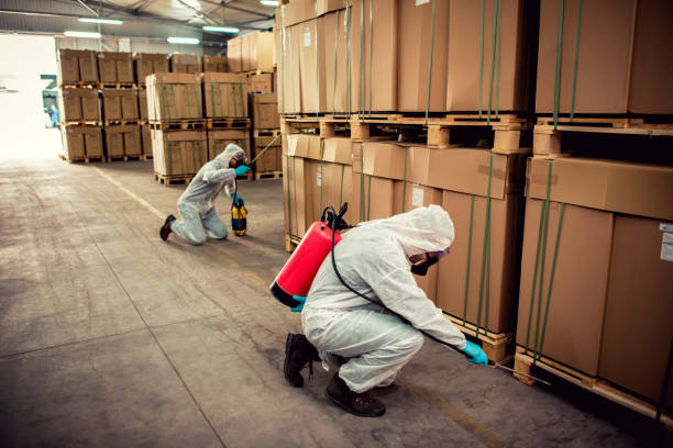 Best Affordable Pest Control Services  in Asbury, IA
