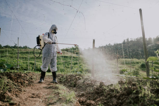Best Commercial Pest Control Services  in Asbury, IA
