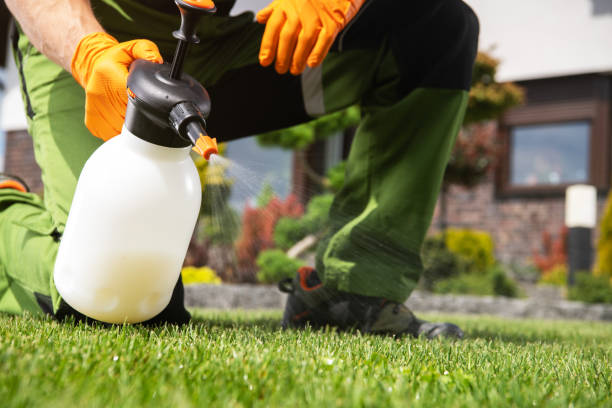 Best Best Pest Control Companies  in Asbury, IA