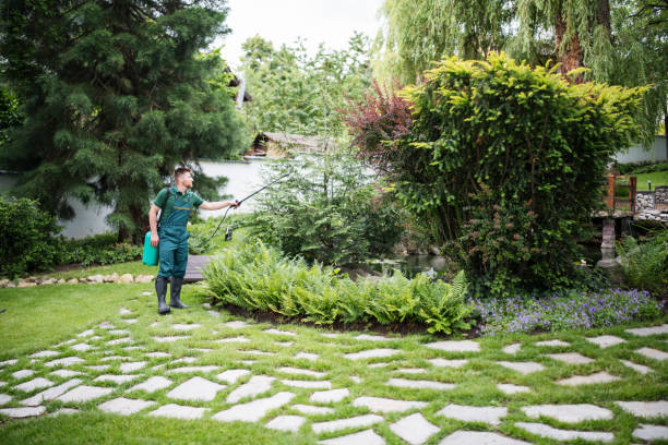 Best Pest Control Near Me  in Asbury, IA