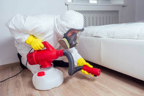 Best Flea Control Services  in Asbury, IA