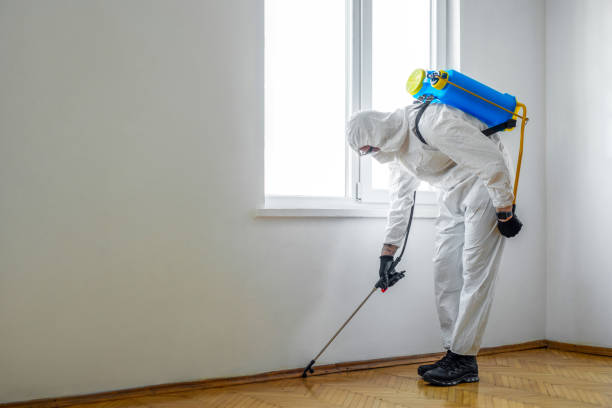 Best Wildlife Control Services  in Asbury, IA