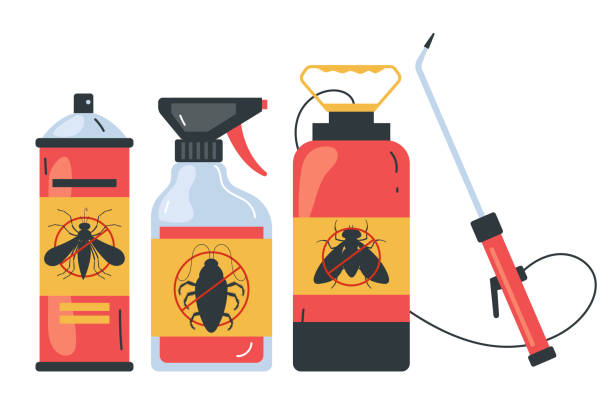 Best Spider Control Near Me  in Asbury, IA