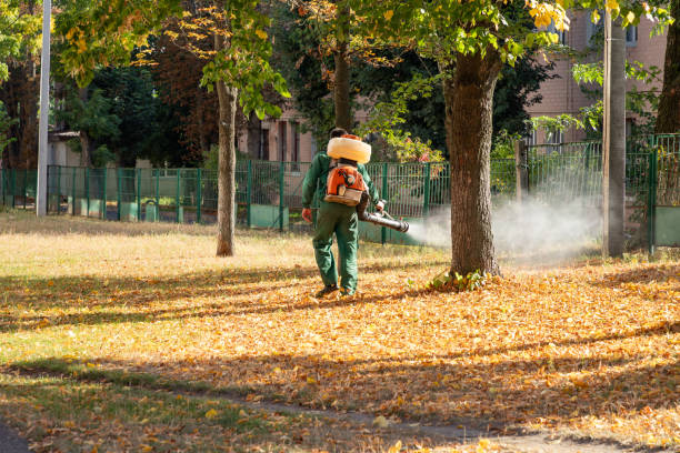 Best Pest Removal Services  in Asbury, IA