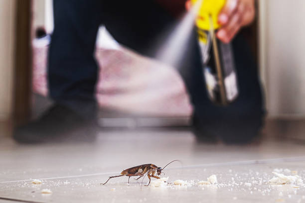 Best Emergency Pest Control  in Asbury, IA