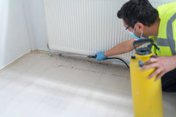 Best Bed Bug Extermination  in Asbury, IA