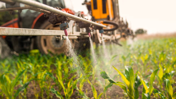 Best Best Pest Control Companies  in Asbury, IA